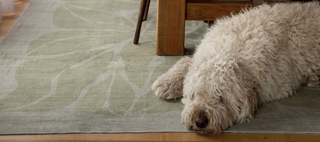 Ways To Pee-Proof Rugs: How To Stop Dog From Peeing On Rug