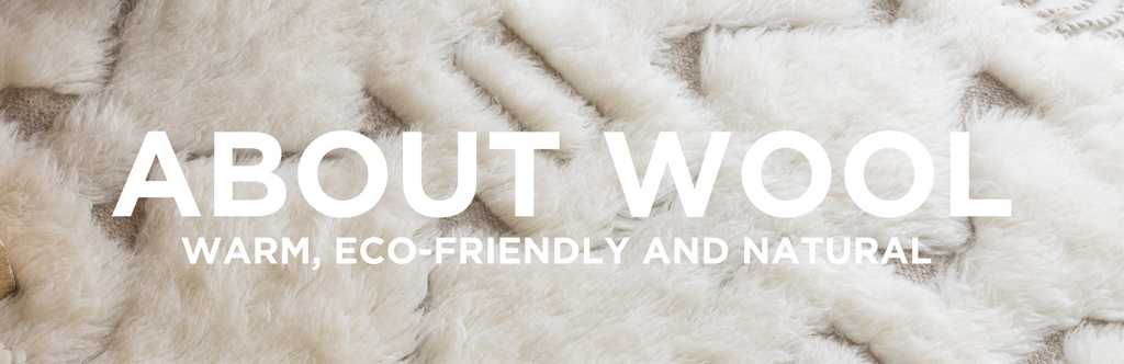 Wool: The Warm, Eco-Friendly & Natural Fibre