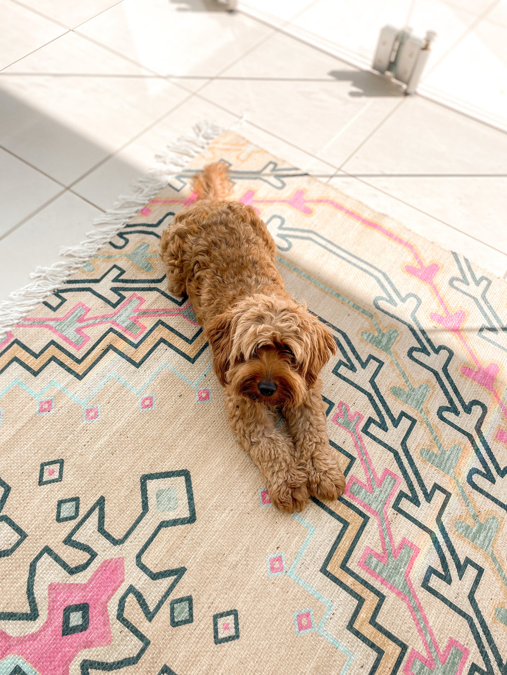 Debunking The 3 Myths: Are Polypropylene Rugs Safe?