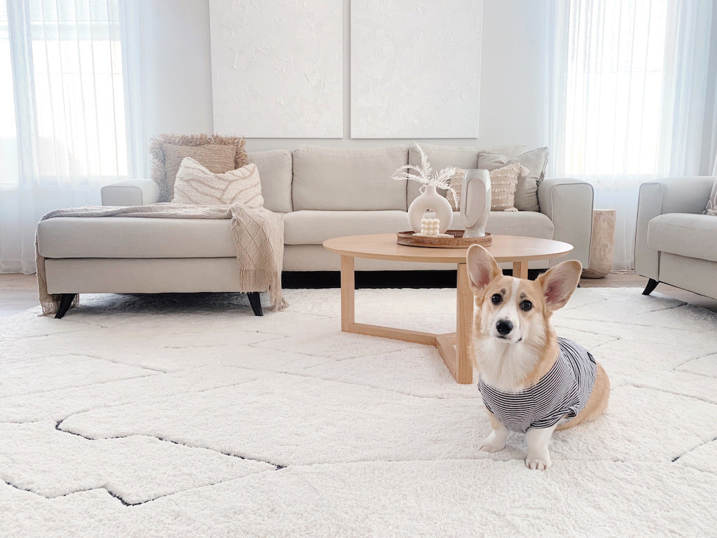 Ways To Pee-Proof Rugs: How To Stop Dog From Peeing On Rug