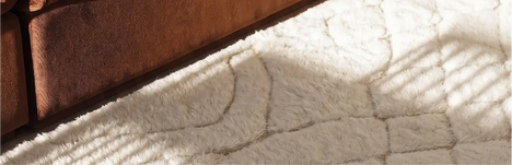 Hallway with stylish rugs
