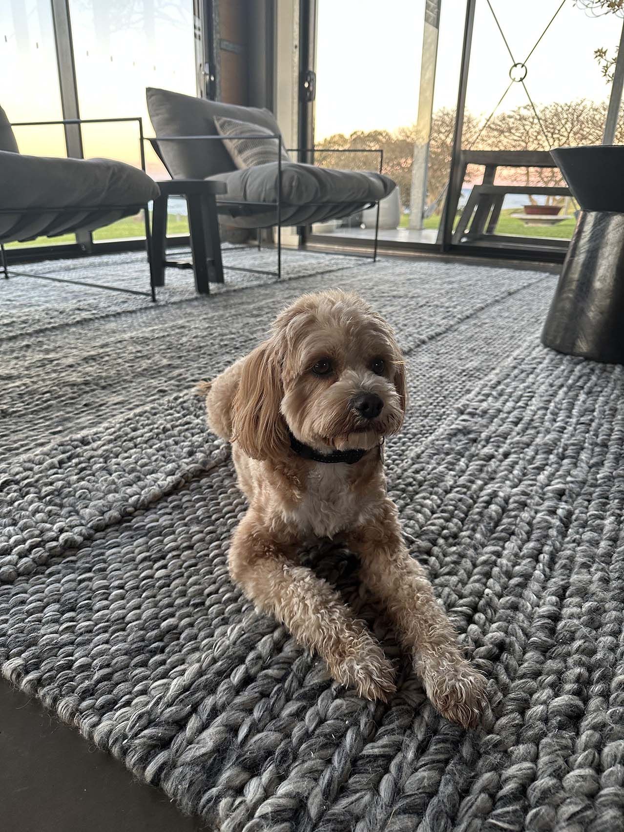 Amalie Marbled Grey Braided and Looped Rug