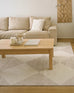 Anastasia Grey Cream Checkered Washable Rug