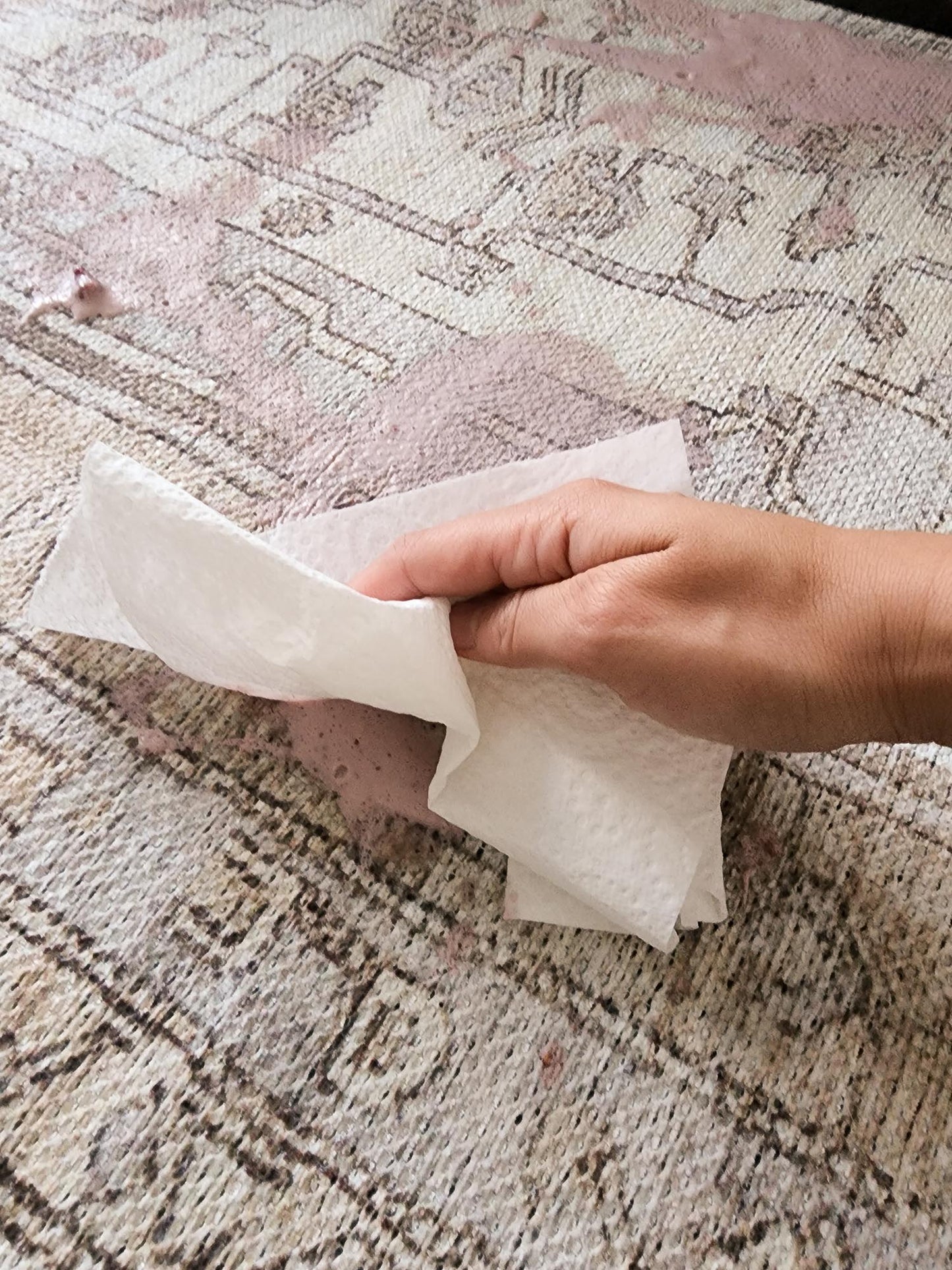 Aneesa Beige and Cream Traditional Distressed Washable Rug