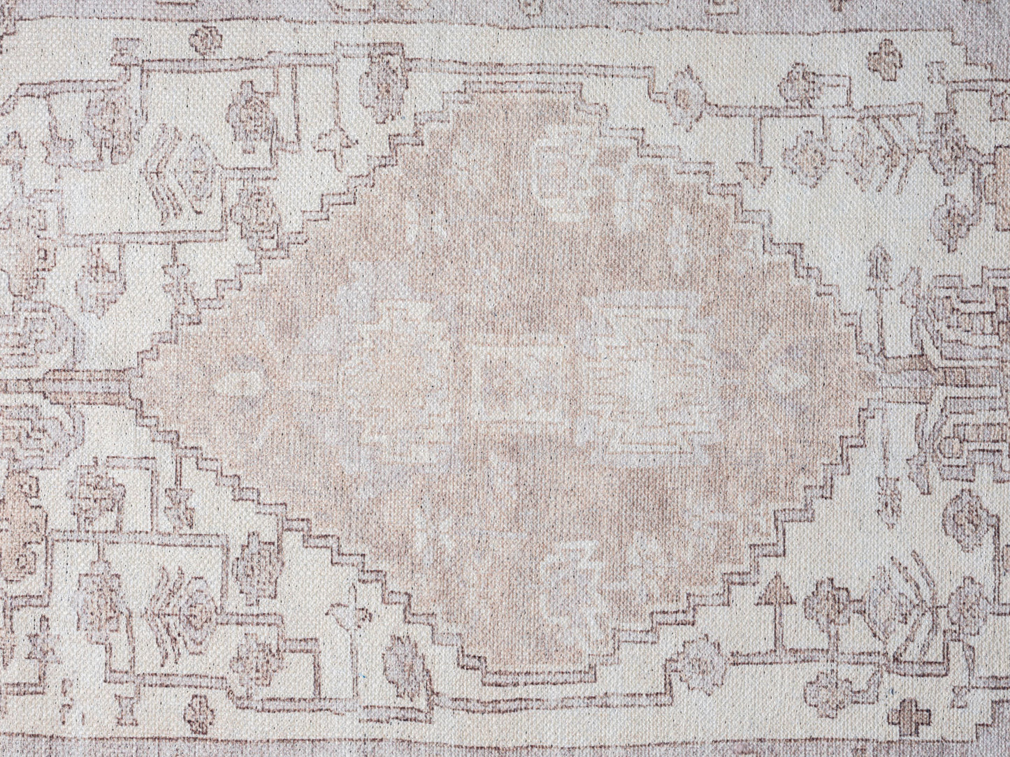 Aneesa Beige and Cream Traditional Distressed Washable Rug