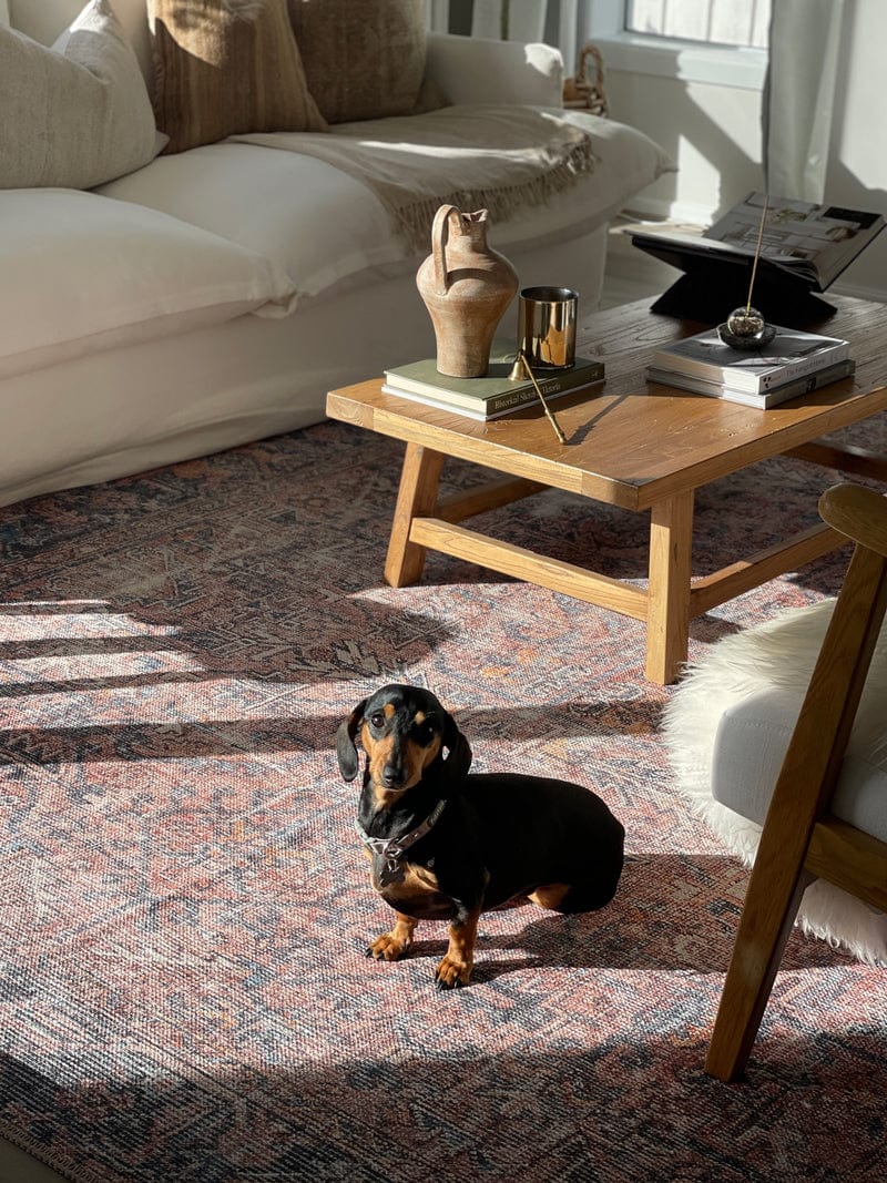 Anyel Brown and Blue Traditional Distressed Washable Rug