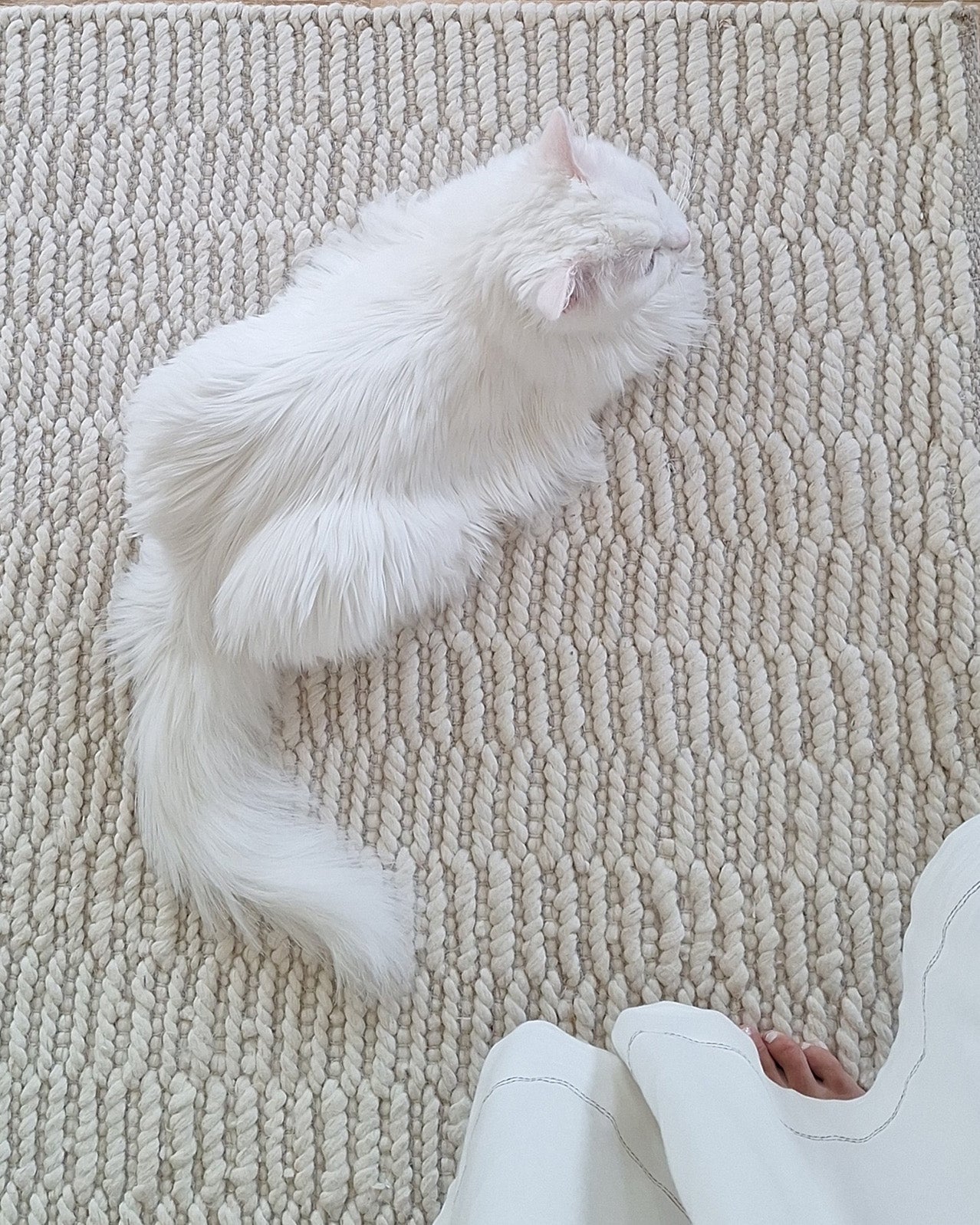 Blanca Ivory Textured Wool Rug