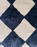 Blythe Ivory and Blue Checkered Rug