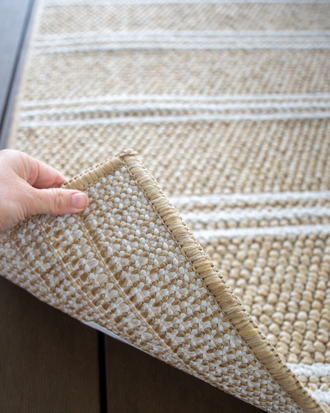 Carlota Sand Indoor Outdoor Rug