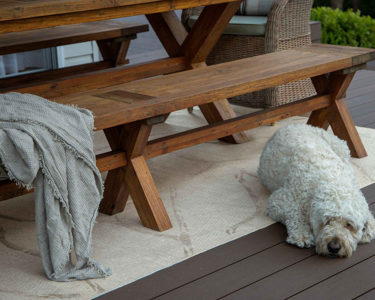 Cyra Soft Beige and Warm Taupe Indoor Outdoor Rug