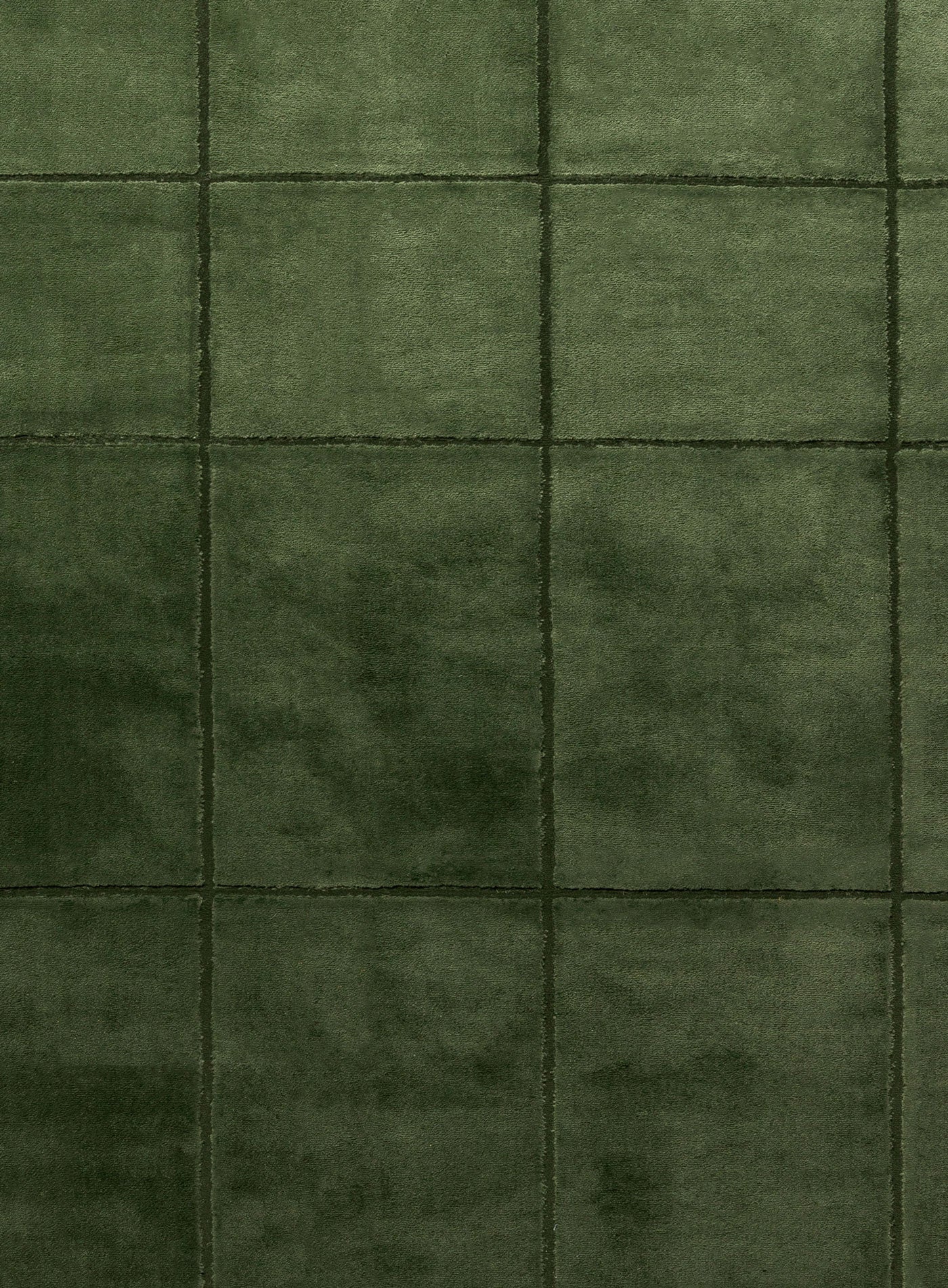 Edelle Tonal Olive Velvet Rug