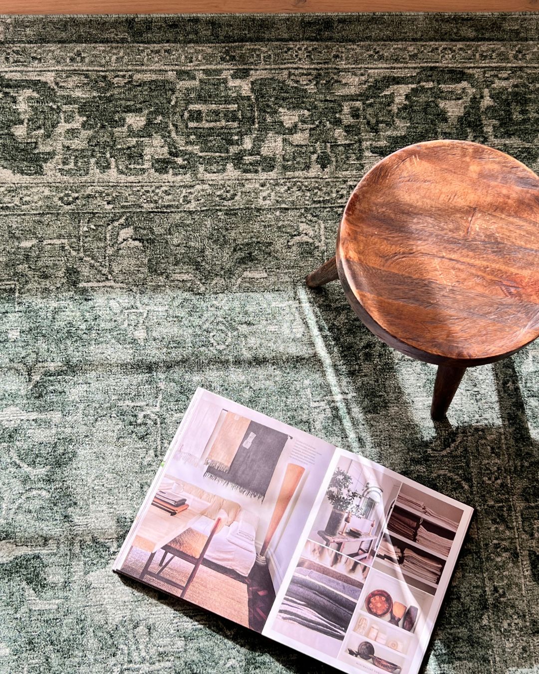 Gaia Tonal Forest Green Rug