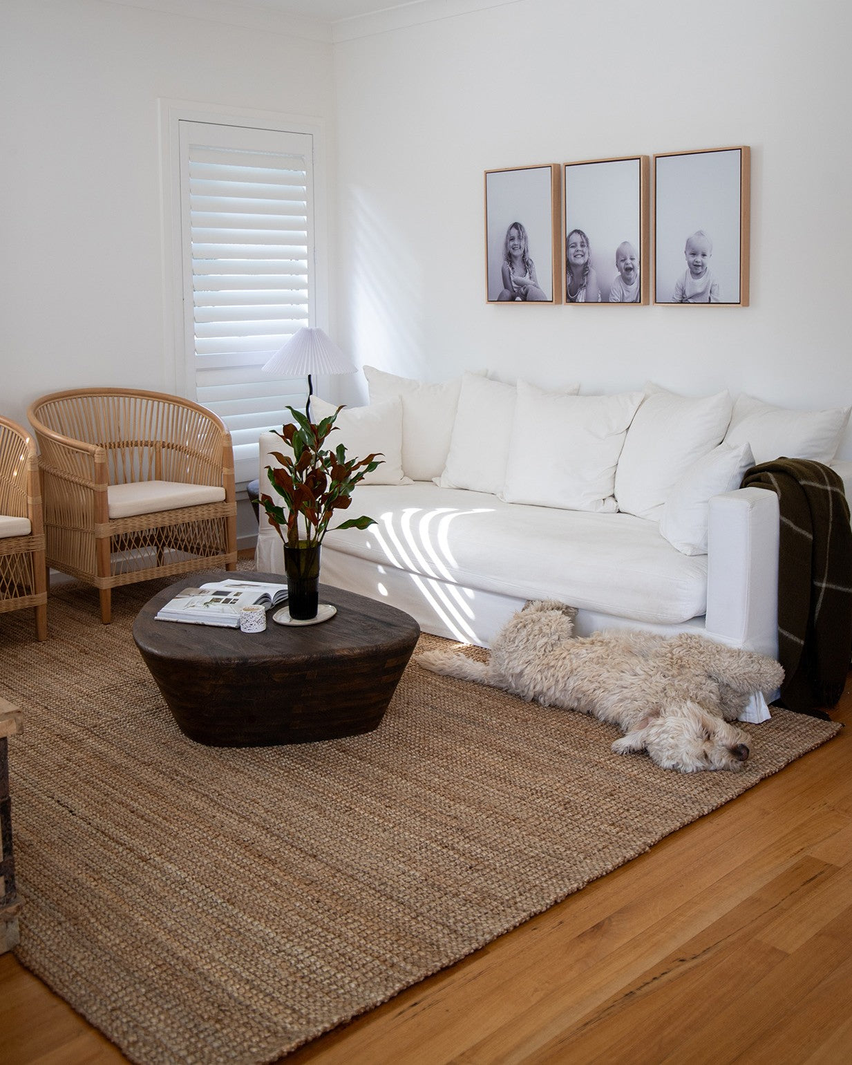 Haiku Natural Chunky Jute Rug