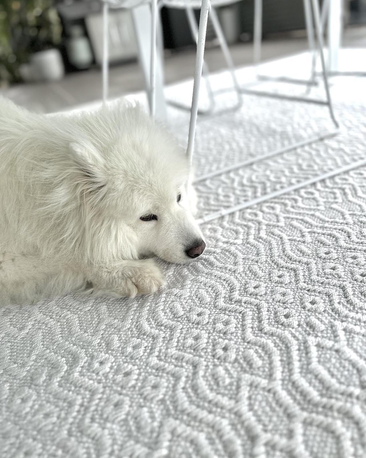 Ivy Ivory Indoor Outdoor P.E.T Rug