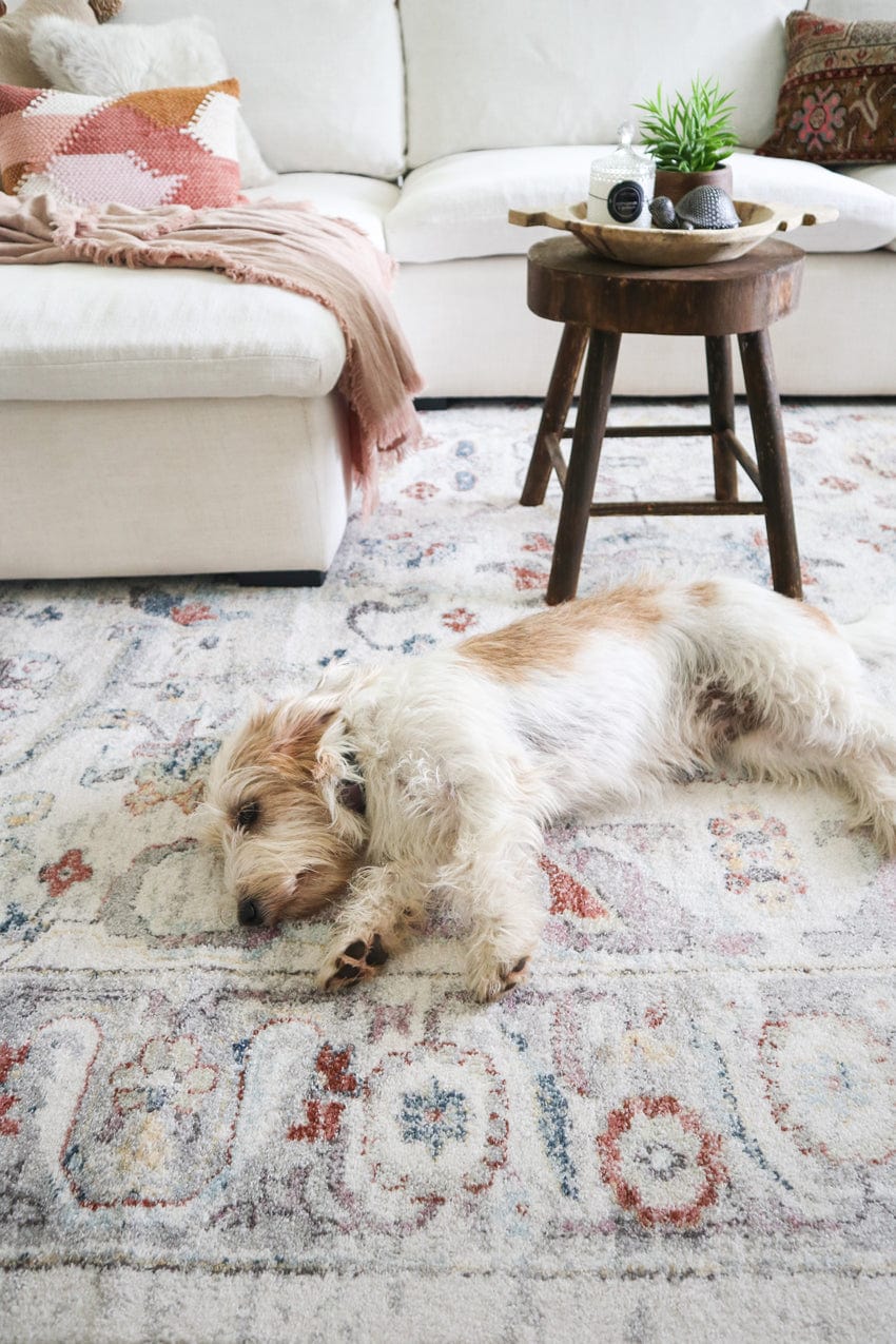 Jinky Rugs Jinnie Cream and Purple Multi-Colour Distressed Rug
