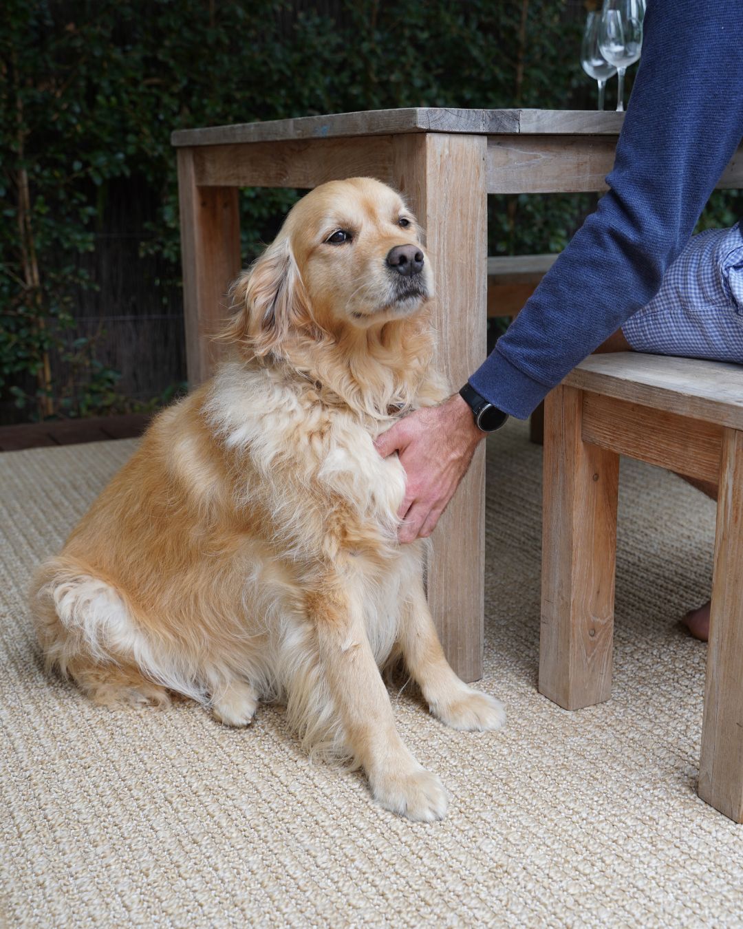 Leonora Tan Indoor Outdoor Rug