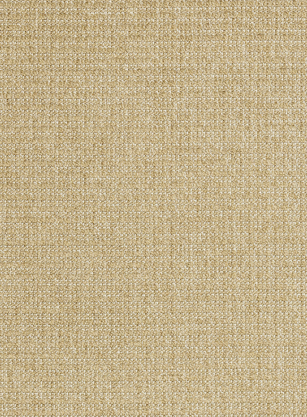Leonora Tan Indoor Outdoor Runner Rug