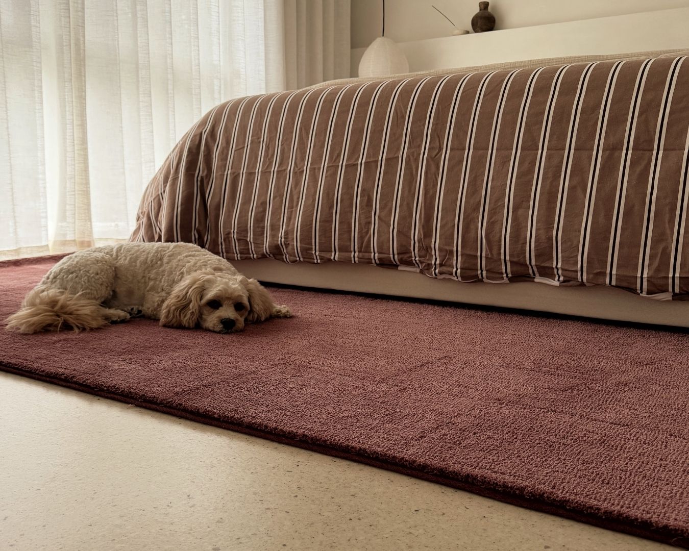 Medora Red Shag Rug