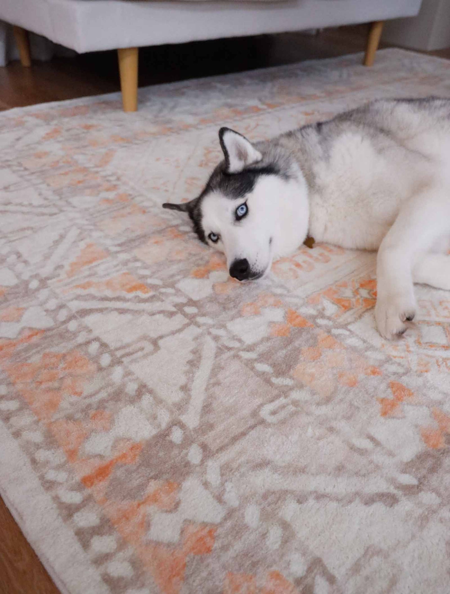 Natalya Orange and Cream Transitional Washable Rug