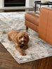 Neve Blue Grey and Bronze Transitional Motif Rug *NO RETURNS UNLESS FAULTY