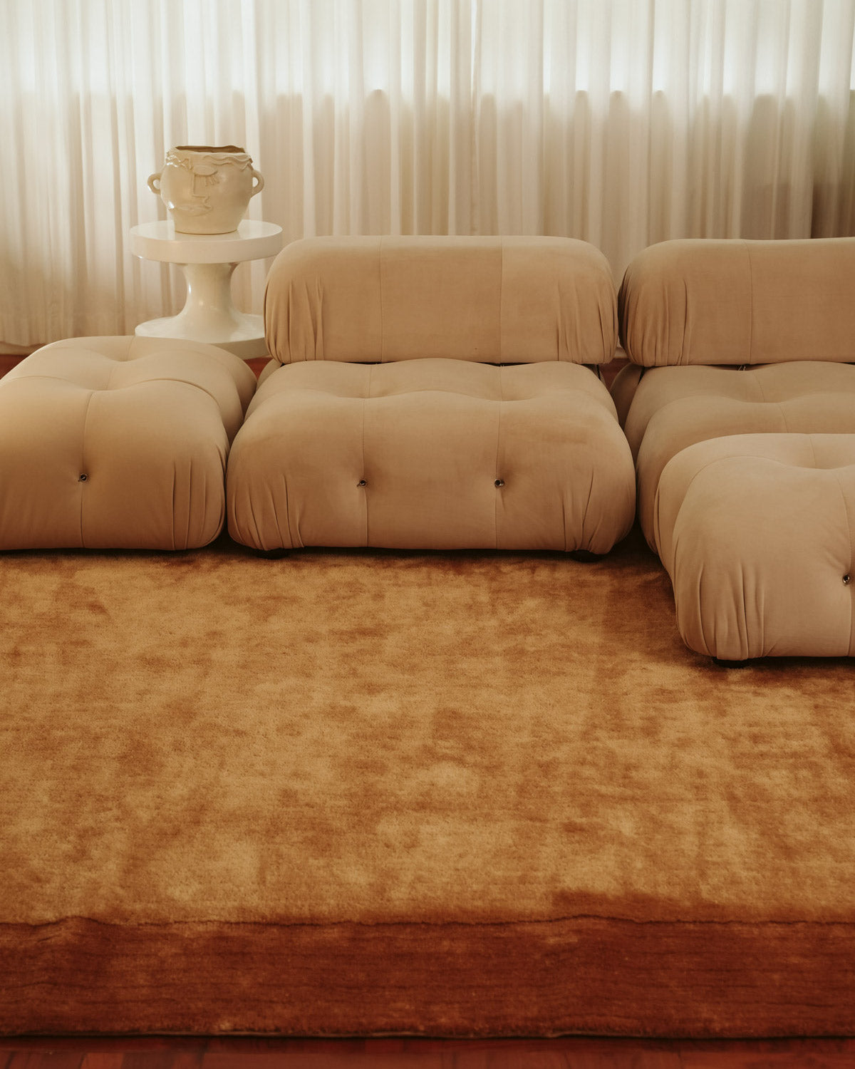 Rozanda Brown Bordered Shag Rug