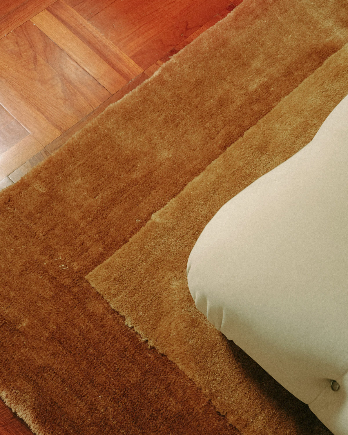 Rozanda Brown Bordered Shag Rug