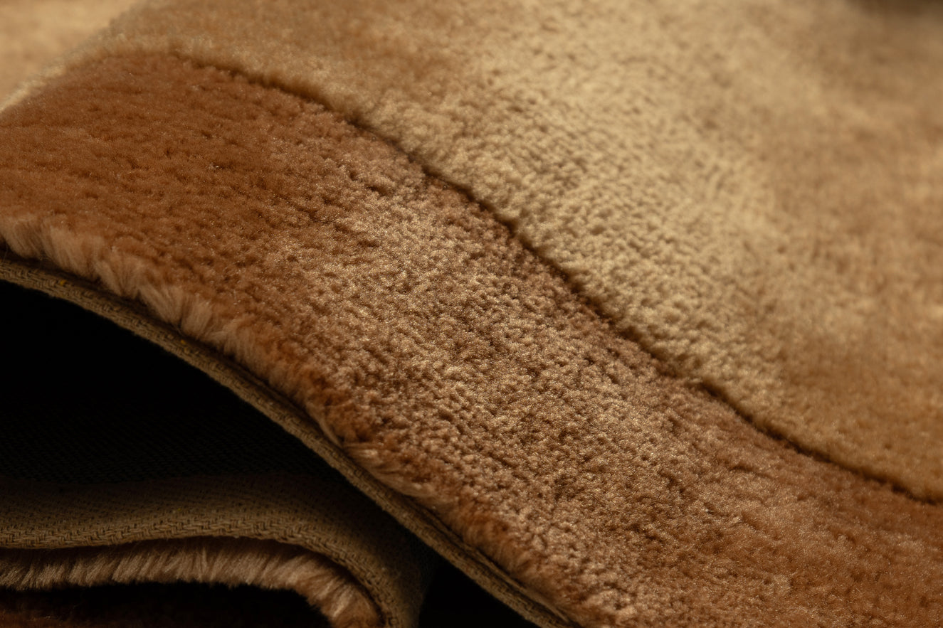 Rozanda Brown Bordered Shag Rug