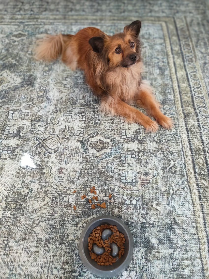 Santi Green and Grey Traditional Distressed Washable Rug