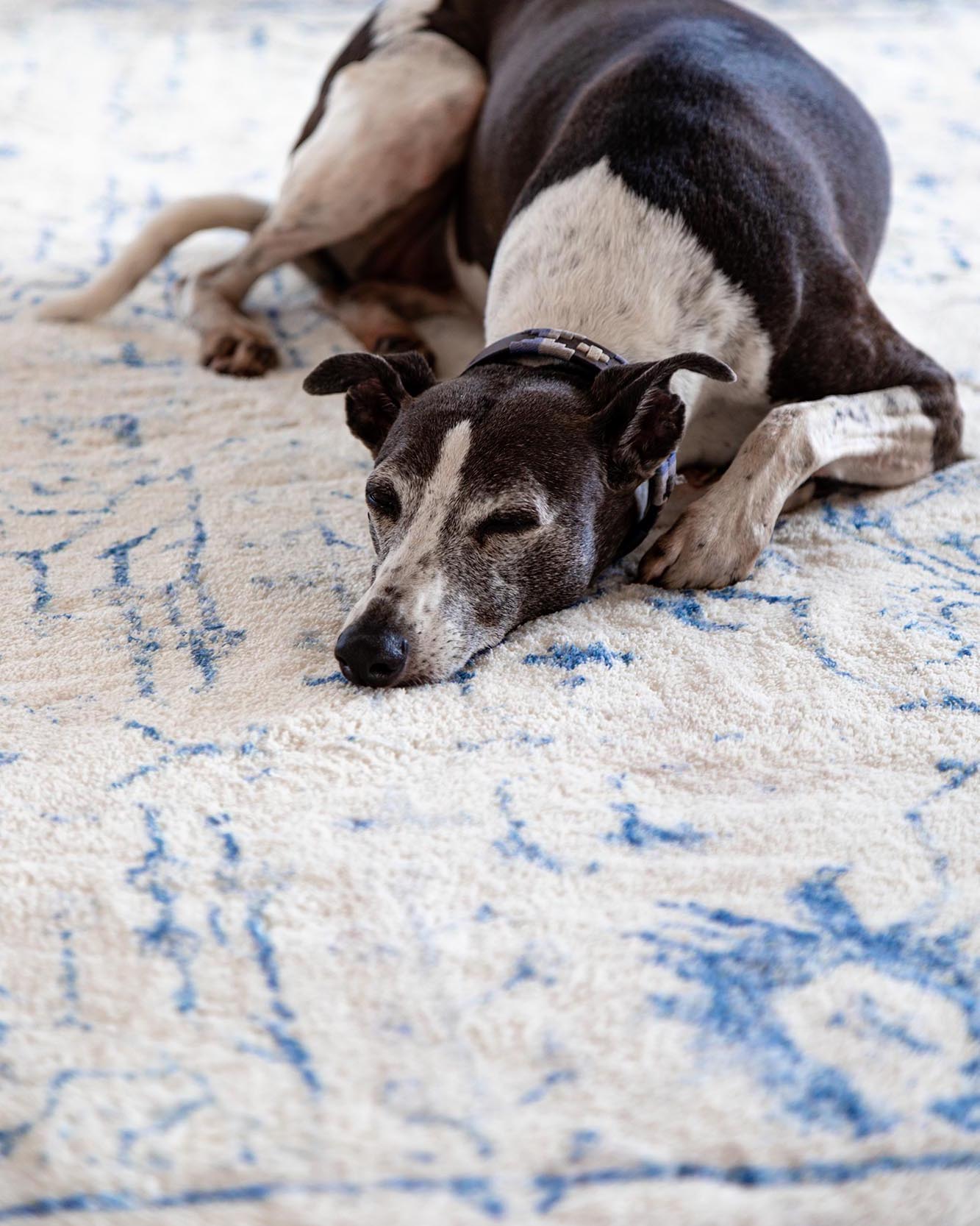 Sarafina Blue and Grey Distressed Washable Rug