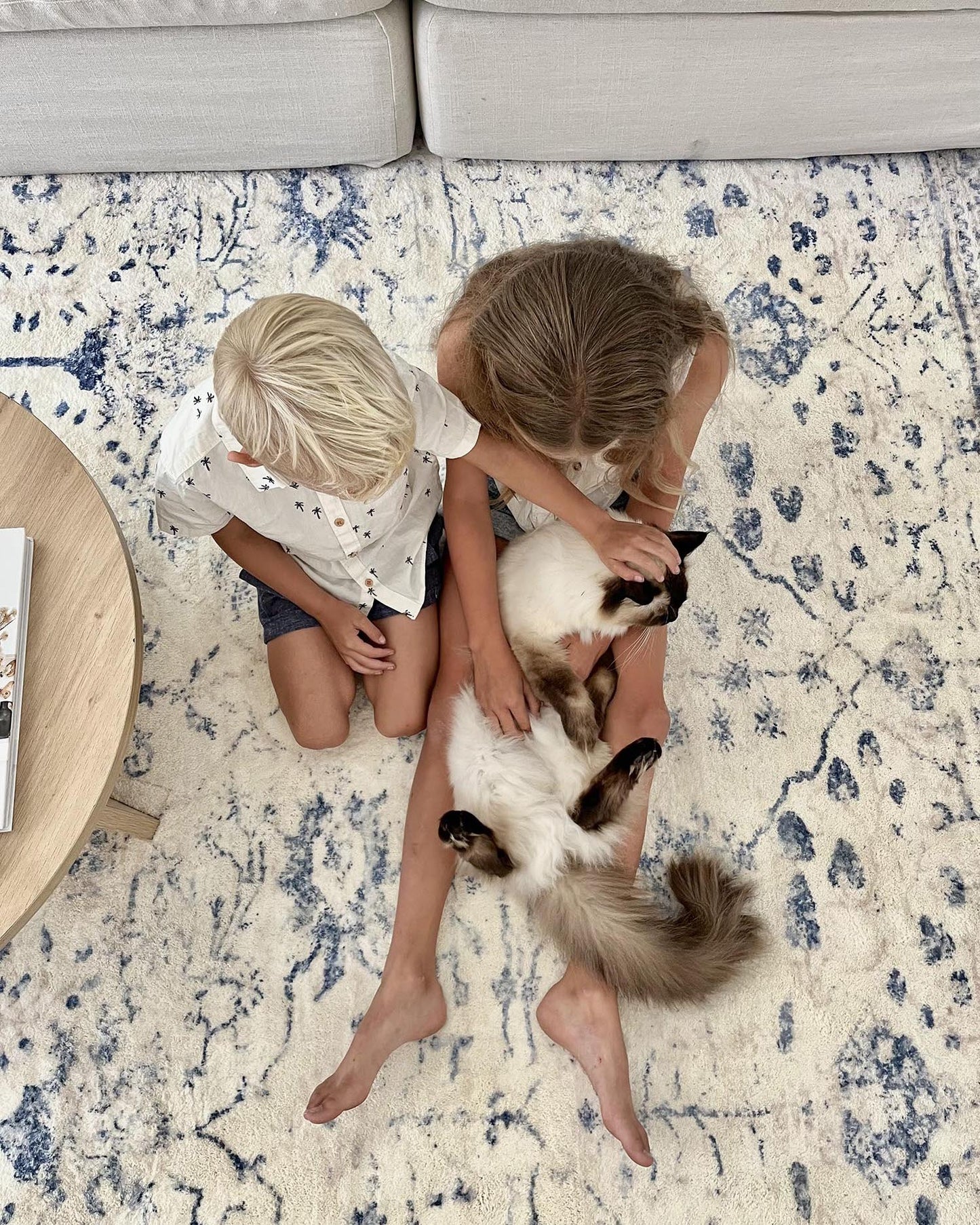 Sarafina Blue and Grey Distressed Washable Rug