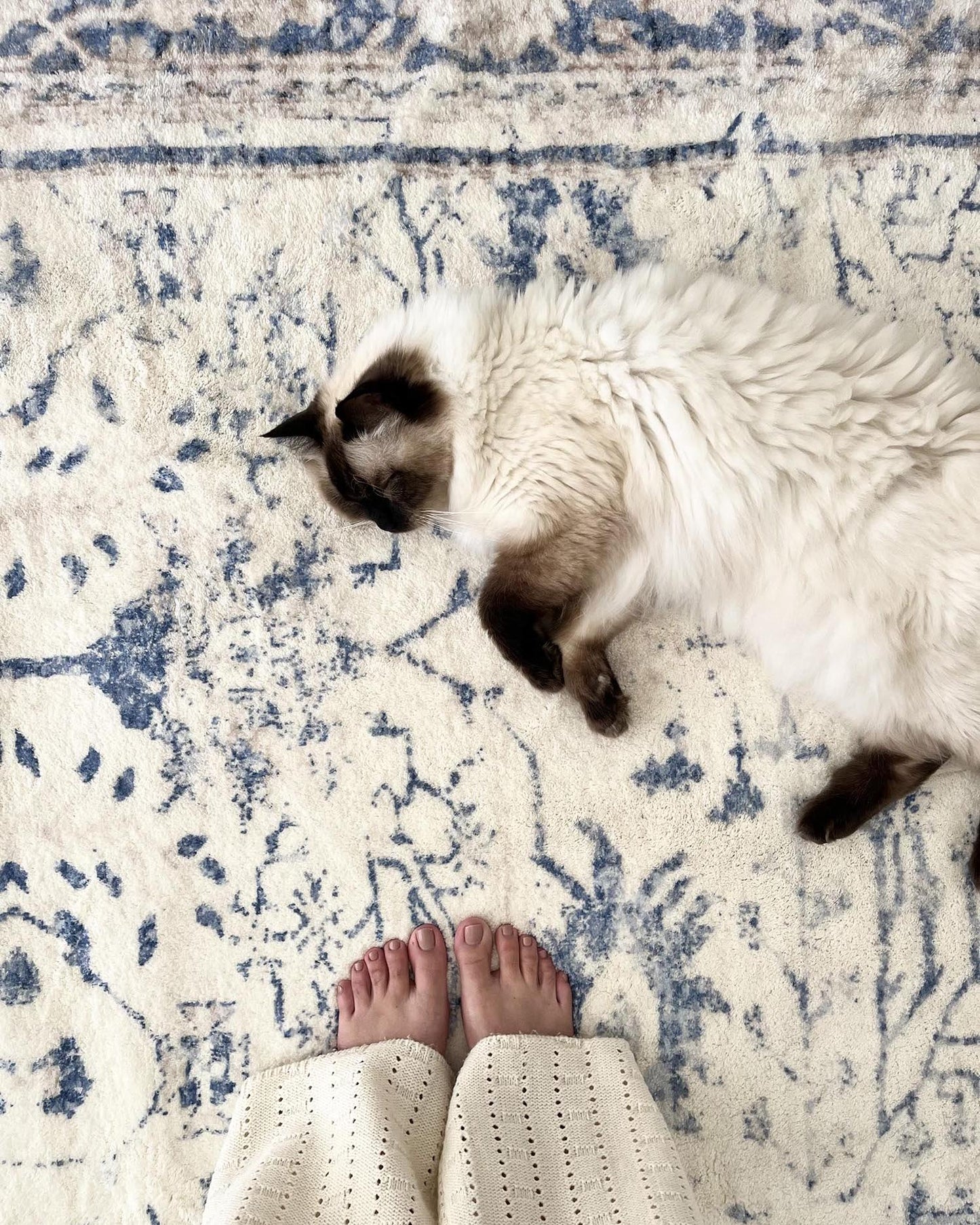 Sarafina Blue and Grey Distressed Washable Rug