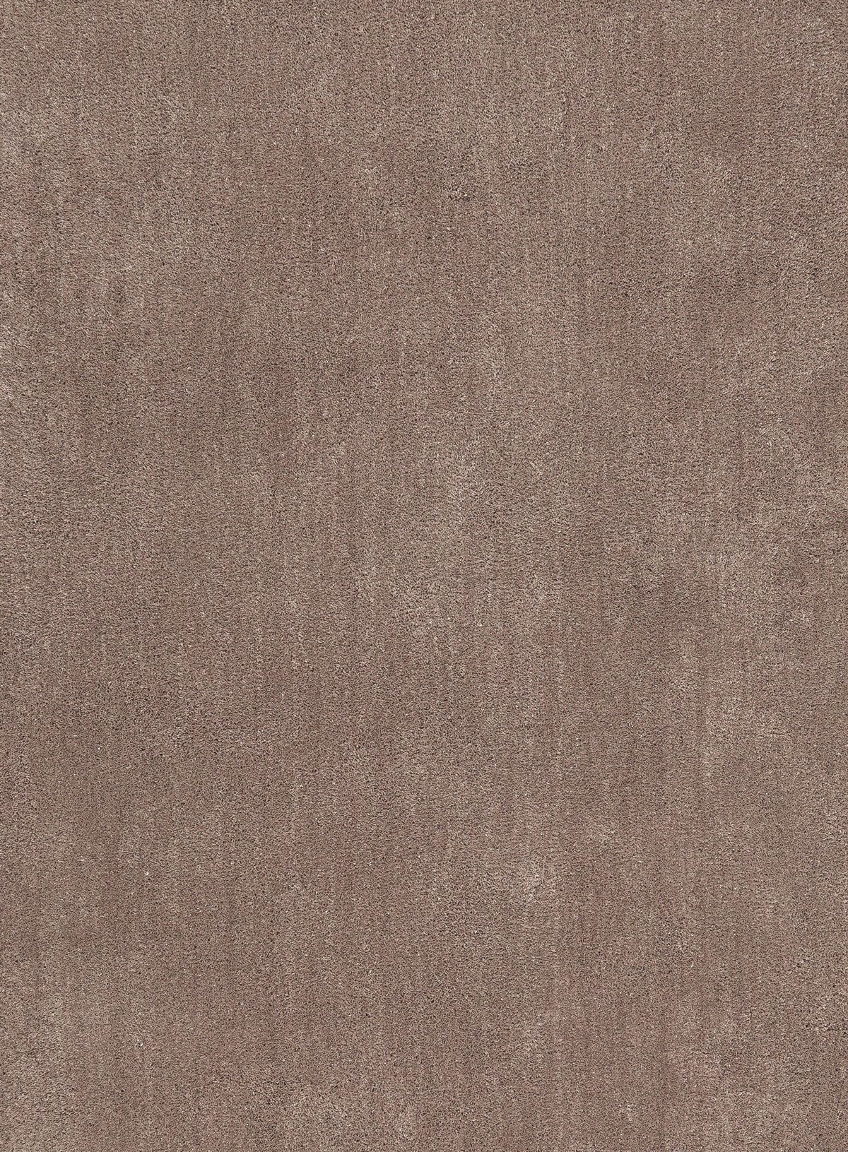 Shevana Taupe Shag Rug