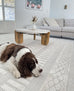 Sophie Ivory Cream Tribal Indoor Outdoor Rug