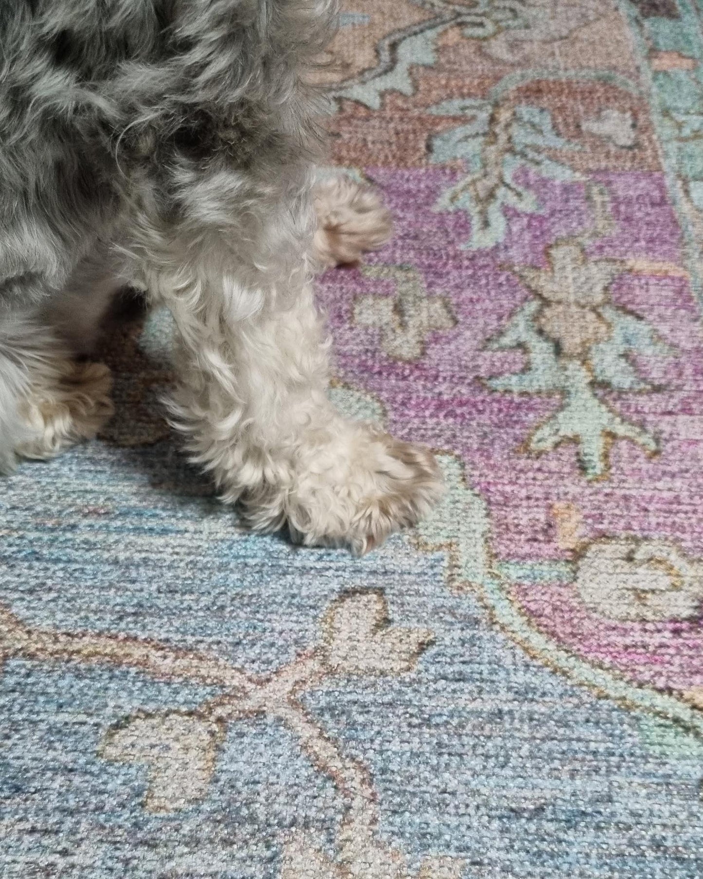 Tavi Blue and Pink Multi-Colour Distressed Washable Rug