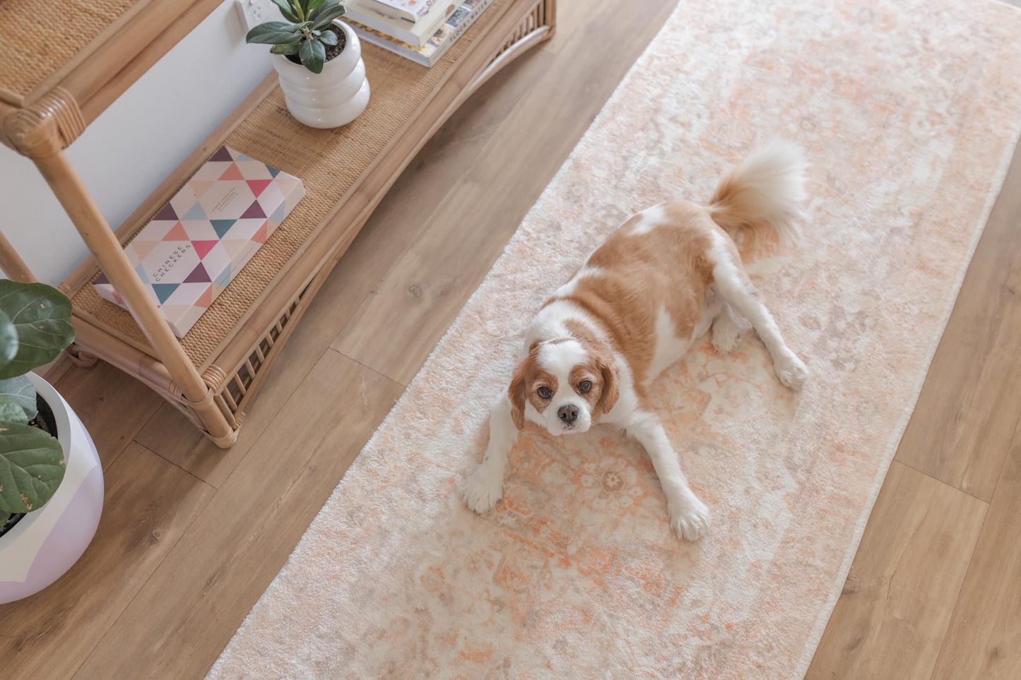 Theodora Orange and Beige Distressed Washable Runner Rug