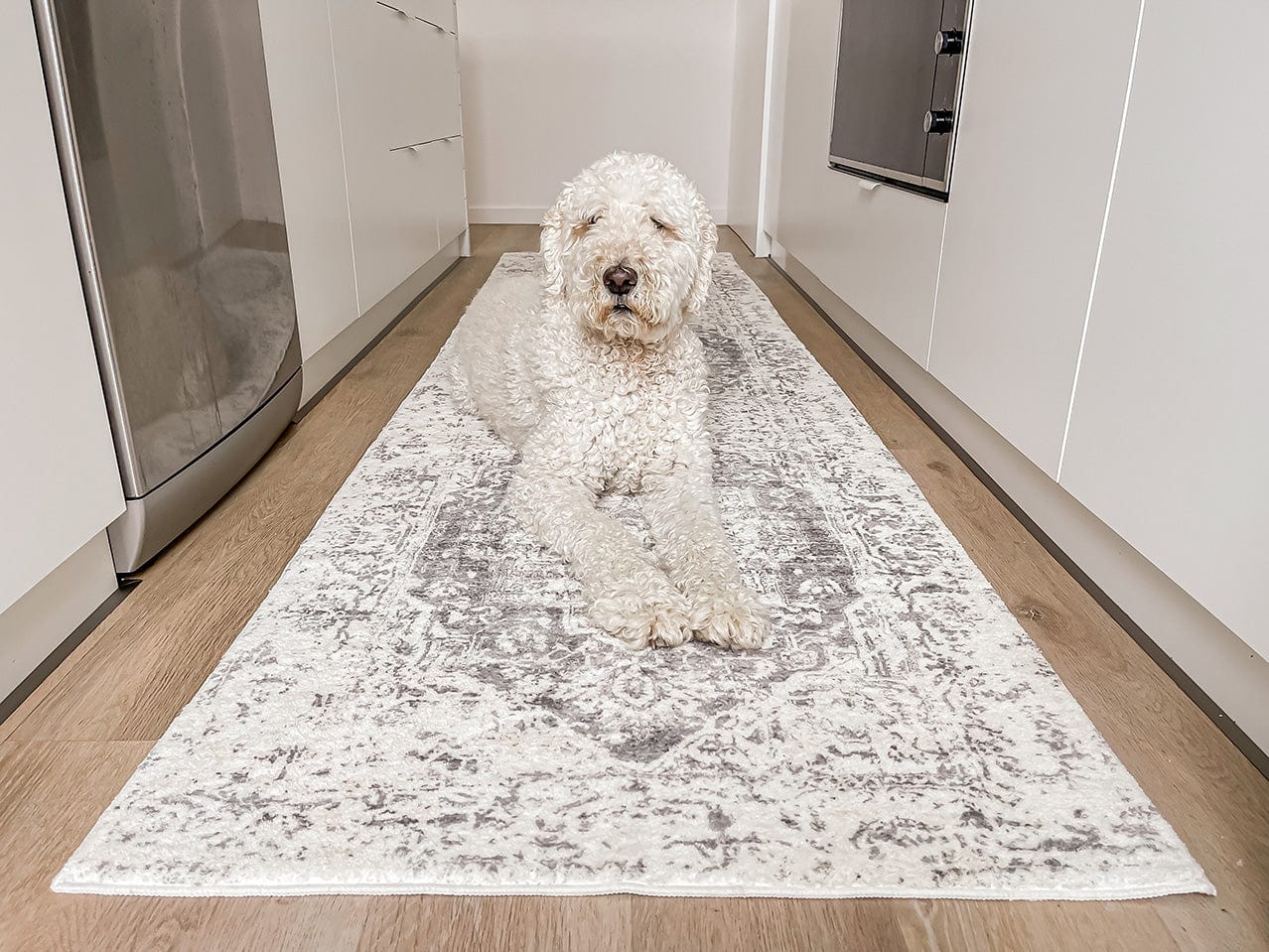 Yelina Cream and Grey Distressed Washable Runner Rug