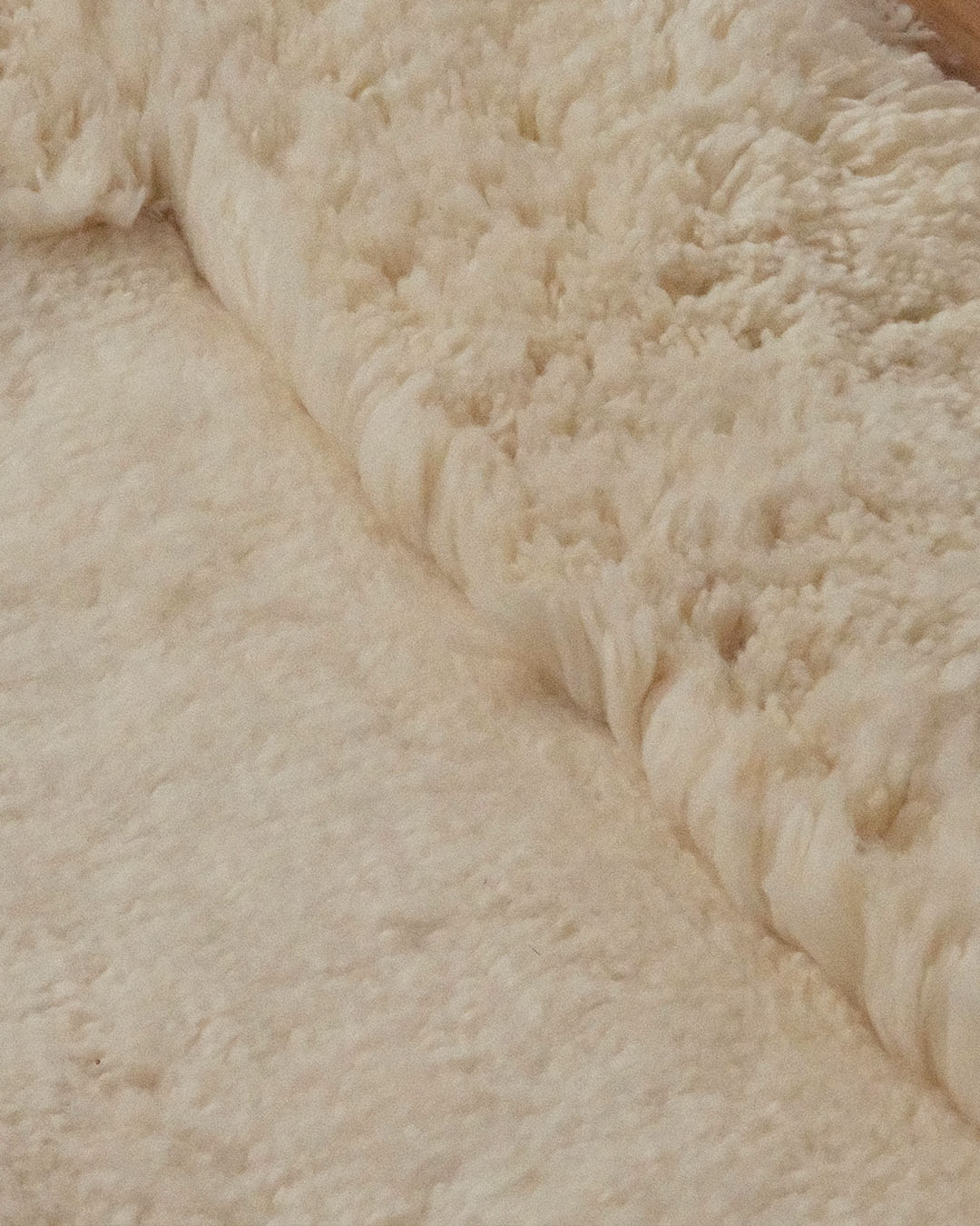 Yosefa Natural Cream Rectangular Shag Rug